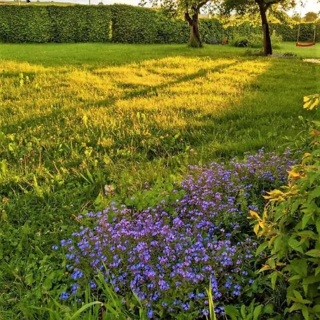 Maison d'hôtes Margaretenhof 3*