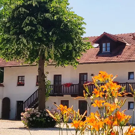 Margaretenhof Guest house *